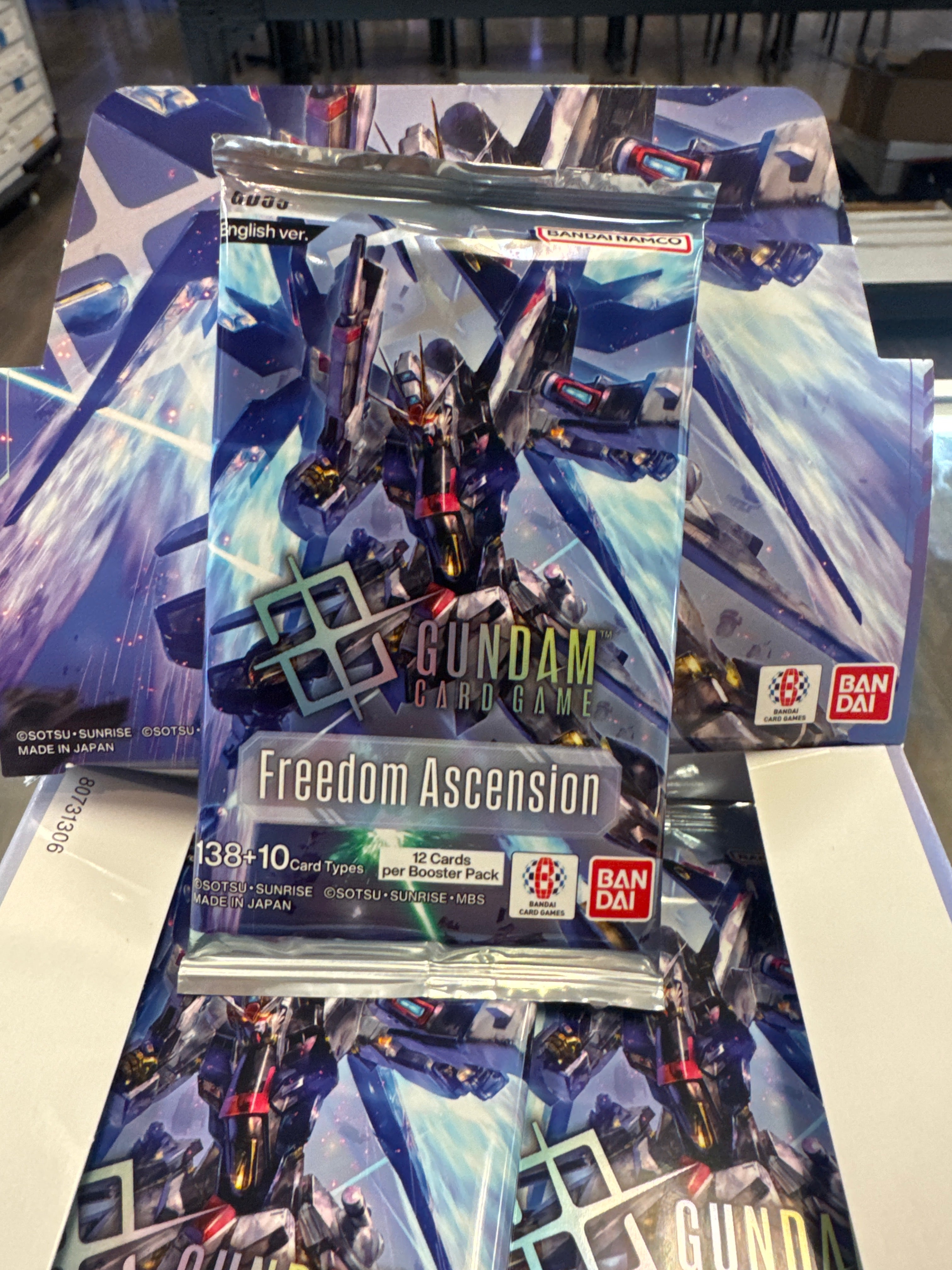 Gundam Freedom ascension