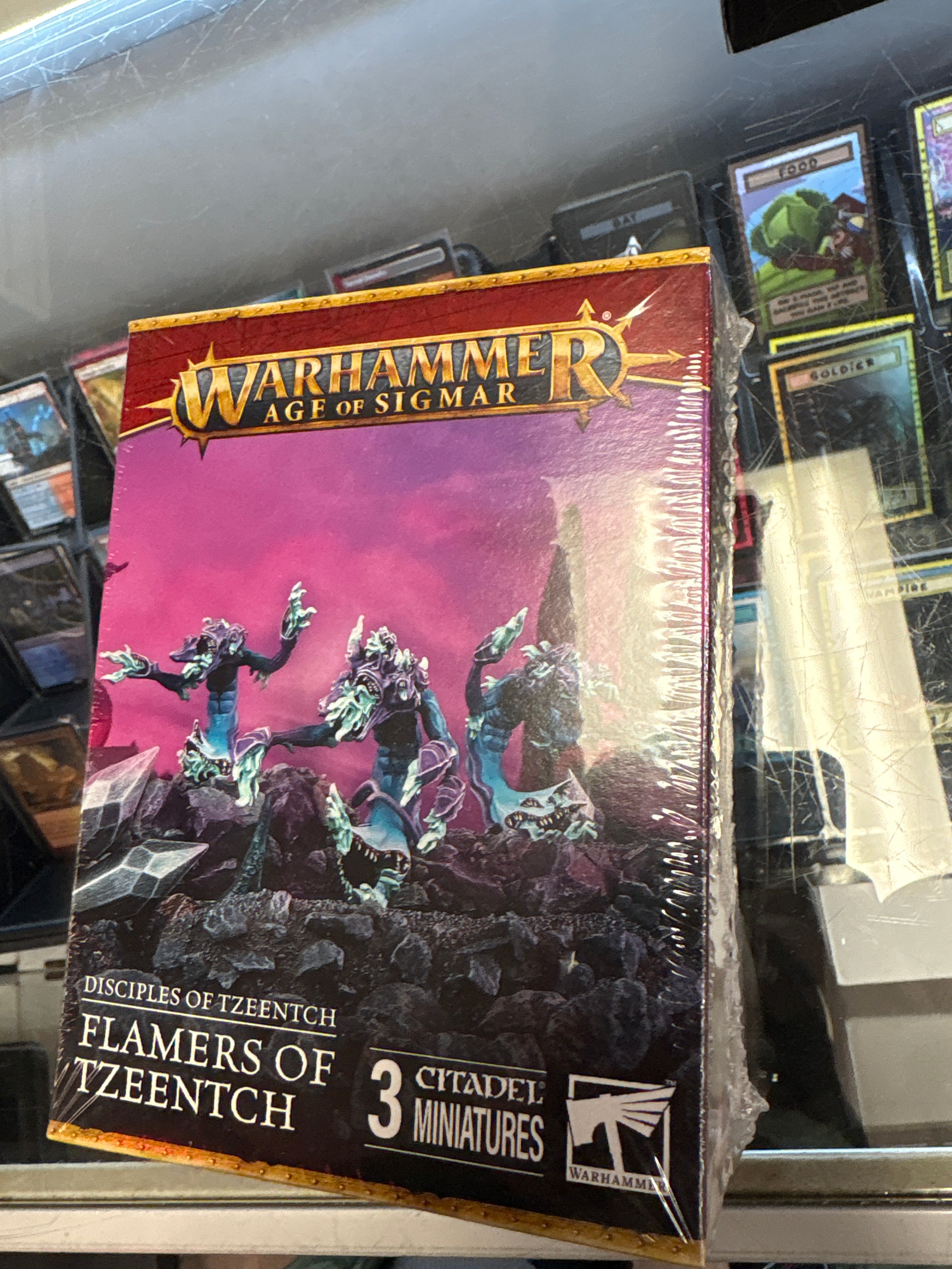 Warhammer Age of Sigmar: Disciples of Tzeentch - Flanders of Tzeentch
